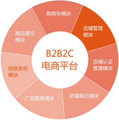 b2b2c网站建设_多用户电商系统_b2b2c商城解决方案